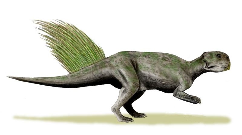 PsittacosaurusmongoliensiswholeBW