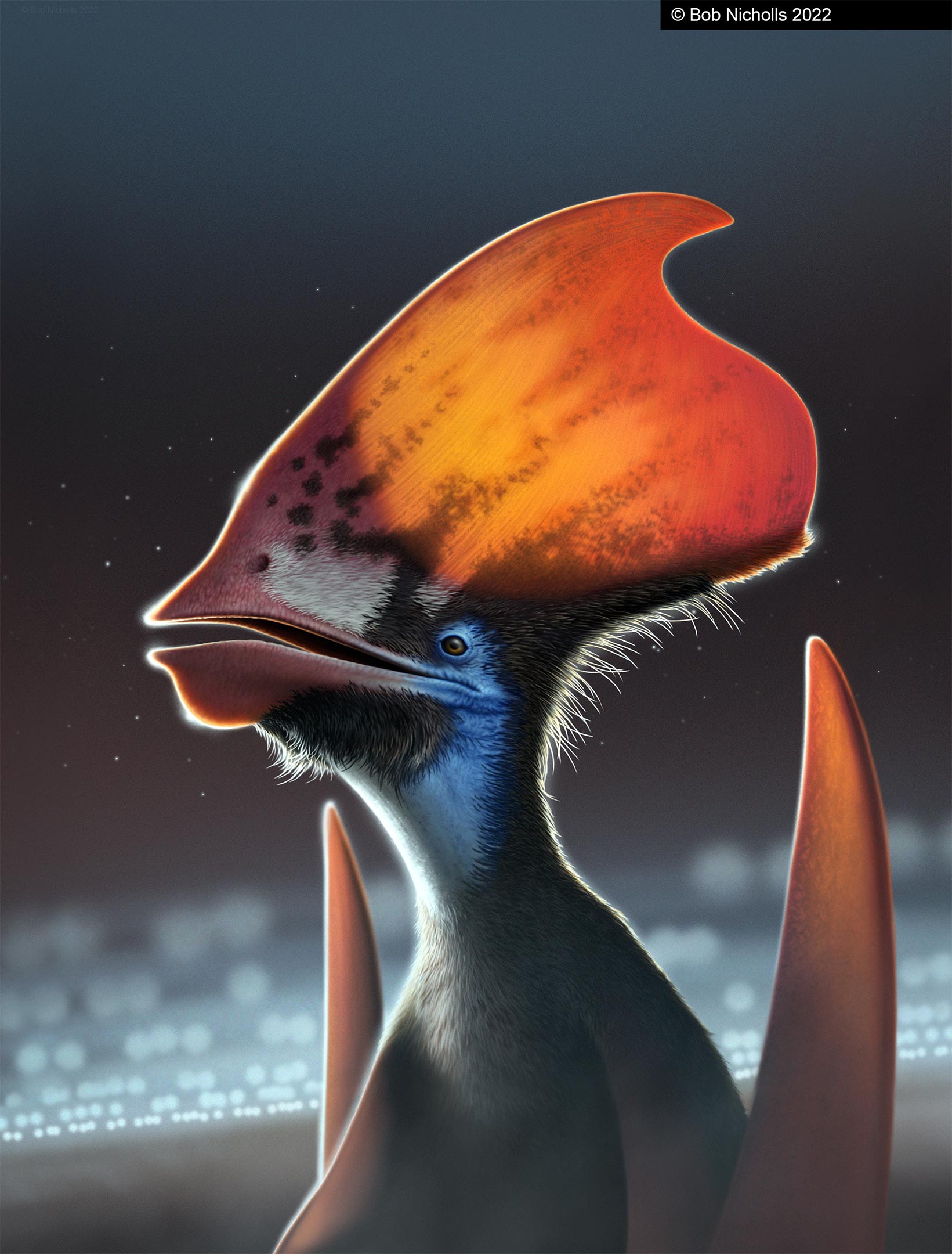 Feathered Pterosaur Tupandactylus