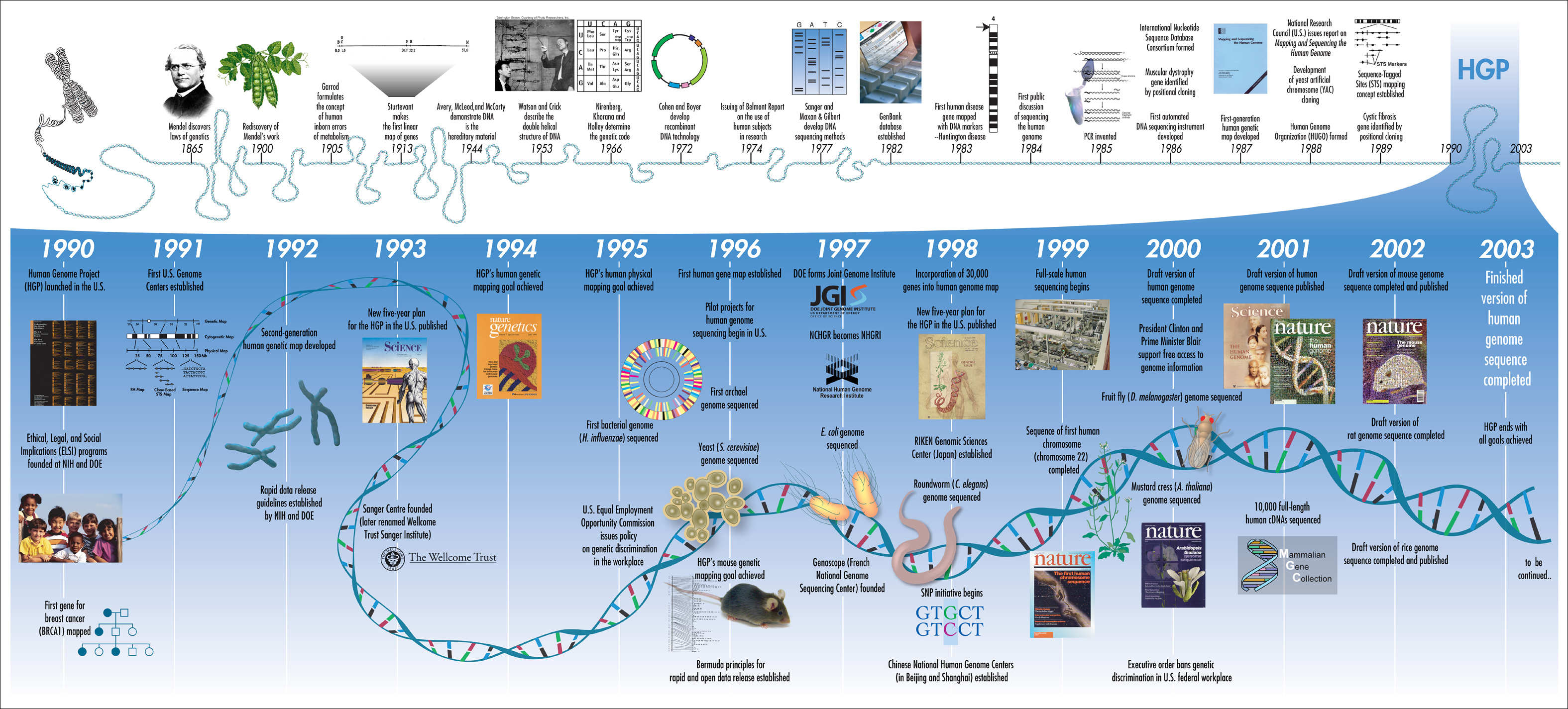 HumanGenomeProjectTimeline 26964377742