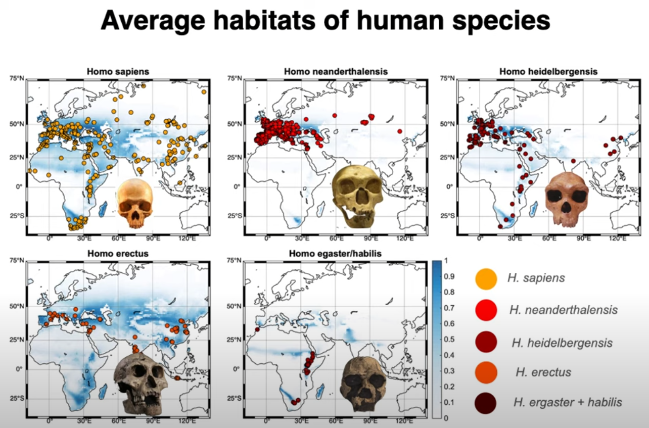Average habitats of human species