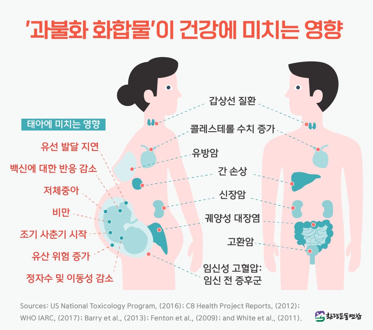 과불화화합물이 건강에 미치는 영향