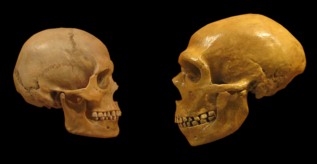 Sapiensneanderthalcomparisonenblackbackground