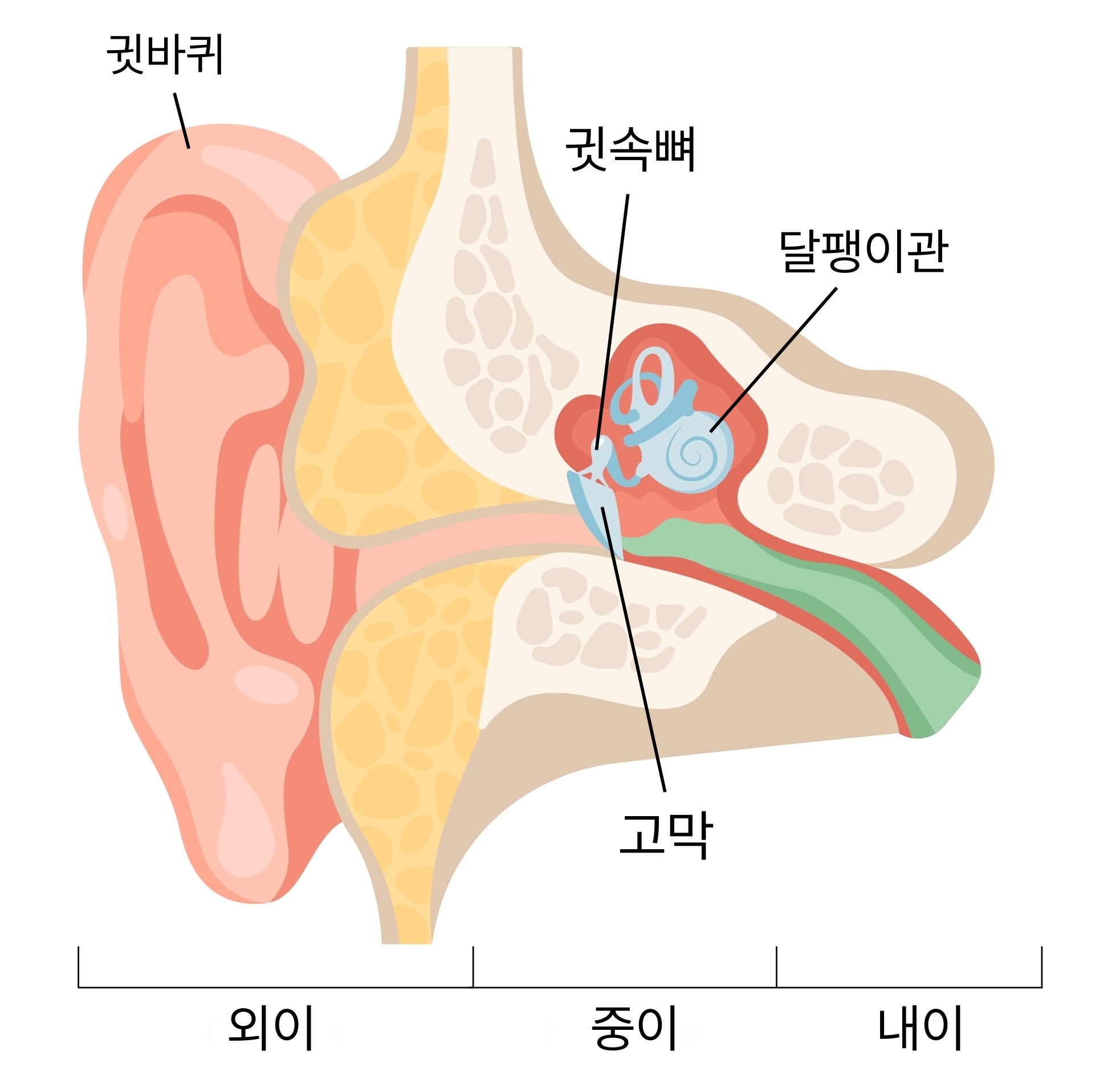 사진2