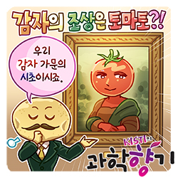 0915 감자 토마토 250x250