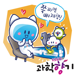 1020 뼈 250x250
