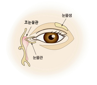 2922사진