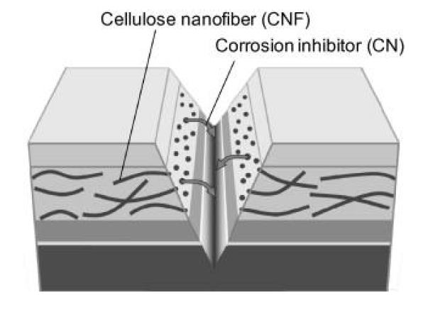 셀룰로오스 나노섬유를 운반자로 한 부식방지 개념도