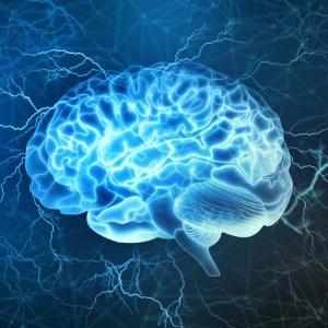 스마트폰으로 뇌 신경회로 제어하는 생체 이식 장치 개발