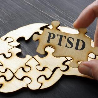 외상 후 스트레스 장애(PTSD) 치료 기전 최초 규명