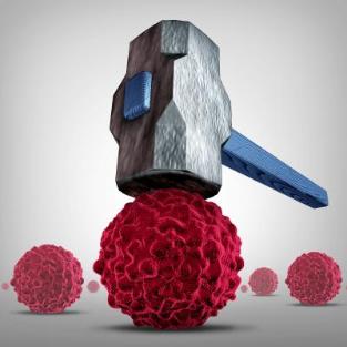 암세포만 공략하는 스마트 면역세포 시스템