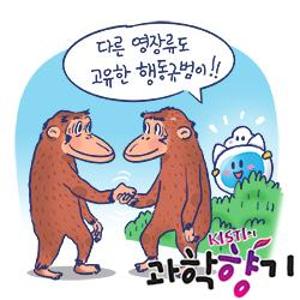 [과학향기 Story] 인간을 지배하는 영장류, 현실 영장류의 사회성은 어느 정도일까?