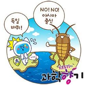 [과학향기 Story] 세상을 점령한 바퀴벌레도 고향이 있다