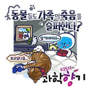 [과학향기 for Kids] 동물들은 가족의 죽음을 어떻게 받아들일까?