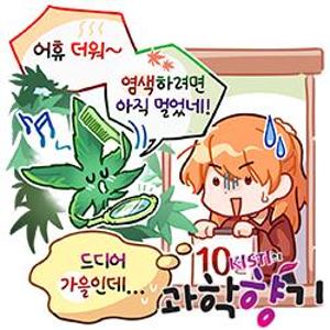 [과학향기 for Kids] 가을에는 왜 나뭇잎이 알록달록 물들까?