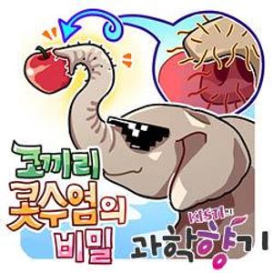 [과학향기 for kids] 코로 무엇이든 집어 올리는 코끼리의 비밀은?