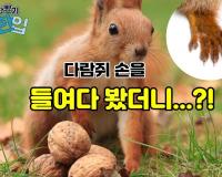 다람쥐 손을 들여다 봤더니…?!