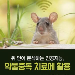 쥐 언어 분석하는 인공지능, 약물중독 치료에 활용