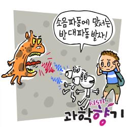 200921노이즈캔슬링250