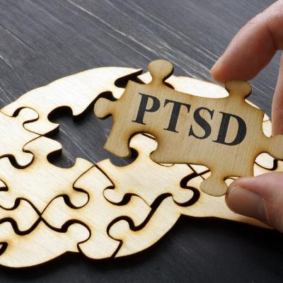 외상 후 스트레스 장애(PTSD) 치료 기전 최초 규명