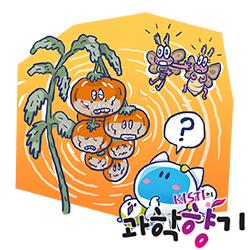 [과학향기 Story] 토마토의 비명에 나방이 등 돌렸다?