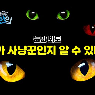 눈만 봐도 누가 사냥꾼인지 알 수 있다?