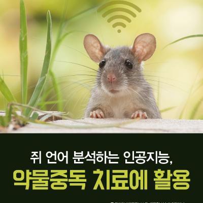 쥐 언어 분석하는 인공지능, 약물중독 치료에 활용