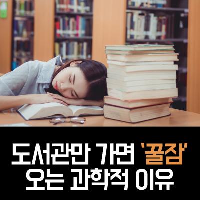 도서관만 가면 ‘꿀잠’ 오는 과학적 이유