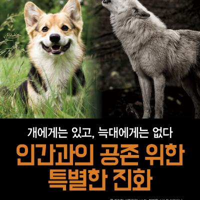 개에게는 있고, 늑대에게는 없다: 인간과의 공존 위한 특별한 진화